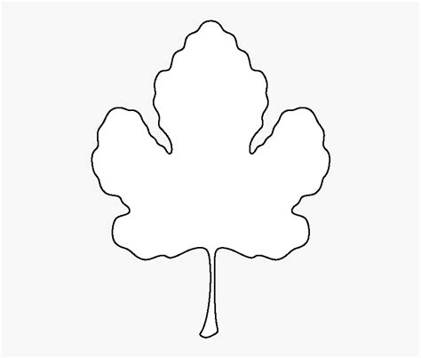 Leaf Outline Pumpkin Clipart Image Transparent Png - Line Art, Png Download - kindpng