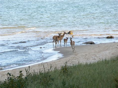 14 Amazing Michigan Beach Photos | Michigan