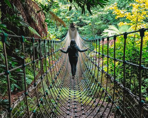 The Lost Gardens Of Heligan: The Ultimate Visitor Guide With The ...