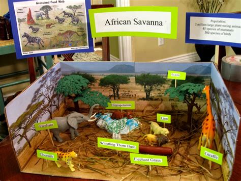 Savanna grassland animals food web ideas in 2022 | Zoo Animals