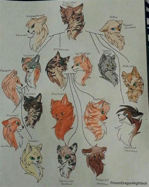 Tigerstar's family tree | Drawing Amino