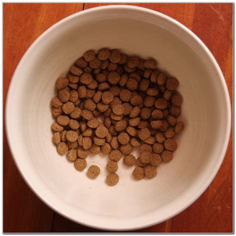 What Is The Best Kibble For Dogs