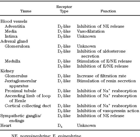 Dopamine Receptors Chart - fallinlovewithmybestfried