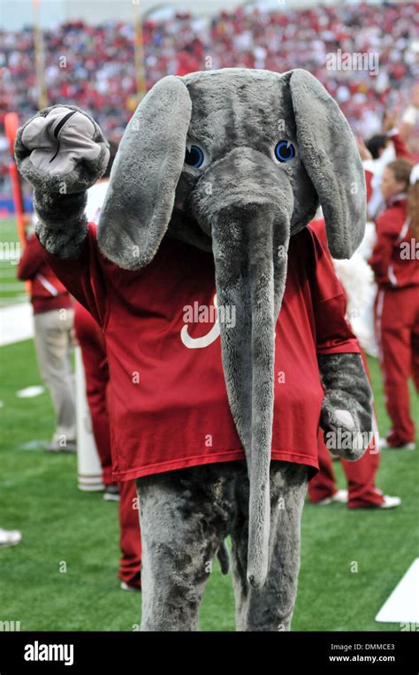 Alabama crimson tide mascot hi-res stock photography and images - Alamy