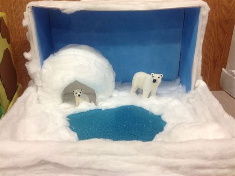 Arctic Polar Bear Habitat