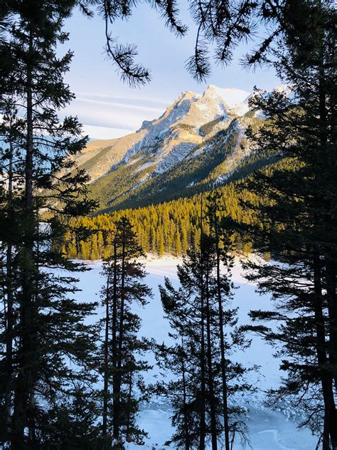 Ultimate Guide to Visiting Banff in the Winter