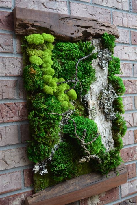 Living Moss Wall | Etsy