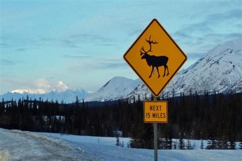 George Parks Highway (Alaska) - 2021 All You Need to Know BEFORE You Go | Tours & Tickets (with ...