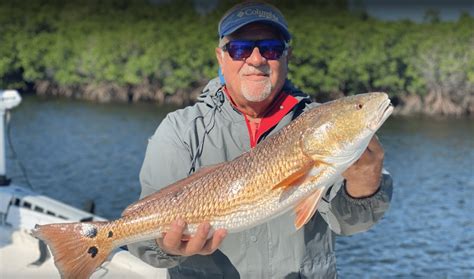 10 Surprising Facts You Should Know About Redfish – AquaBuzz