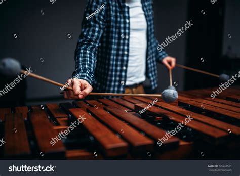 1,256 Xylophone Player Images, Stock Photos & Vectors | Shutterstock