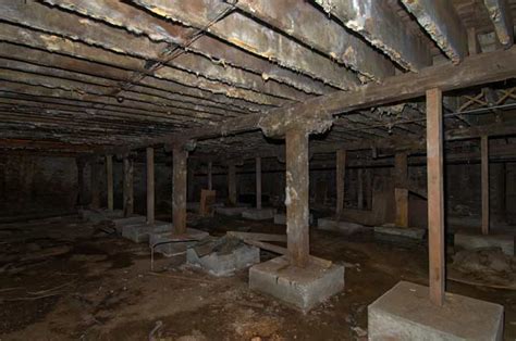 Dirt Floor Basement Mold – Clsa Flooring Guide