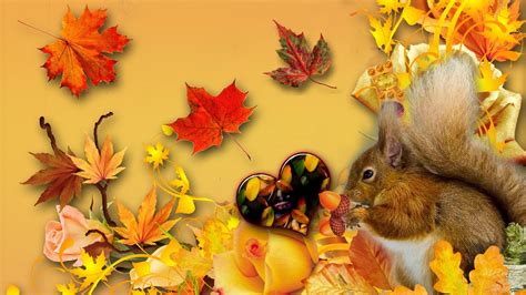 Happy Fall Squirrel wallpaper | animals | Wallpaper Better