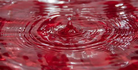 Wallpaper : red, macro, water, droplets, drops, Nikon, flickr, droplet ...