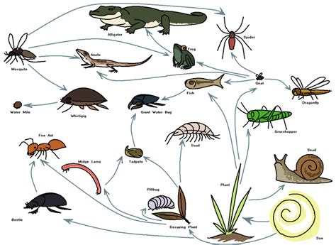 The Arthropod - DISSECTIONS FOR DAYS!