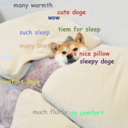 Cute Doge Meme Is Ready For Fluffy Sleep