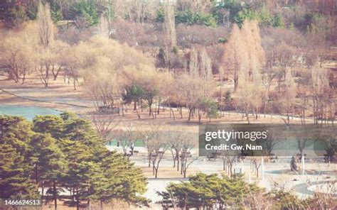 1,068 Seoul Forest Park Stock Photos, High-Res Pictures, and Images - Getty Images