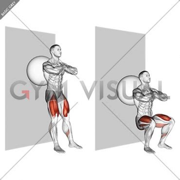 Exercise Ball Wall Squat