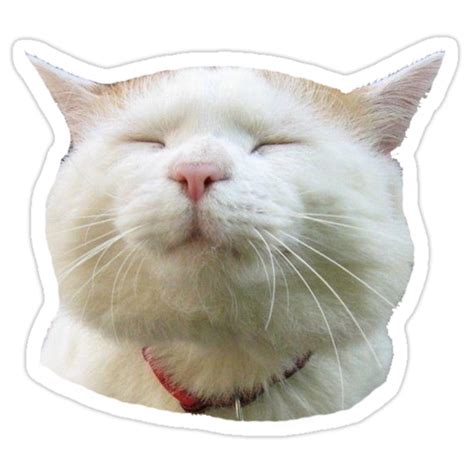 "cat" Stickers by emerbelle | Redbubble