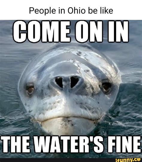 People in Ohio be like COMEONIN THE WATER'S FINE - iFunny Brazil