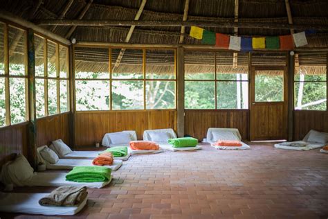 How Taking an Ayahuasca Retreat Can Damage Indigenous Culture