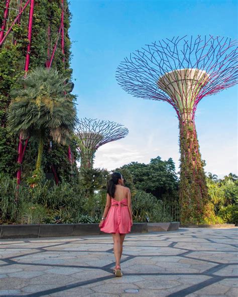 Gardens by the Bay, Singapore - Yolo let's travel the world