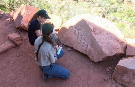 Celebrating 100 Years of Paleontological Discoveries at the Grand ...