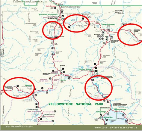 Secrets for finding Yellowstone wildlife - A Yellowstone Life