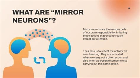 Mirror Neurons: The Power of Imitation in the Learning Process