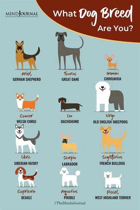 What Dog Breed Are You, Based On Your Zodiac Sign | Dog zodiac, What ...