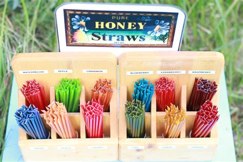 Honey Straws 50 pieces Fruit Flavors – Nando’s Honey