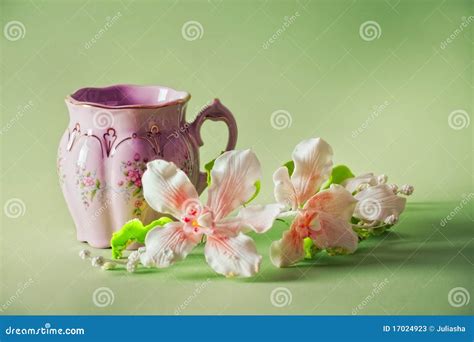 The cup of green tea stock image. Image of filling, fancy - 17024923