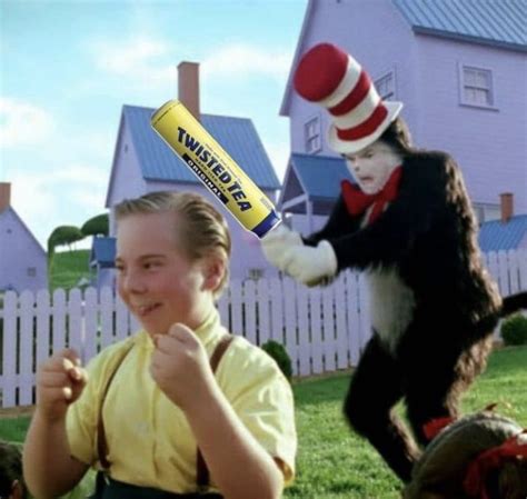 Twisted Tea Cat in the Hat Memes - Imgflip