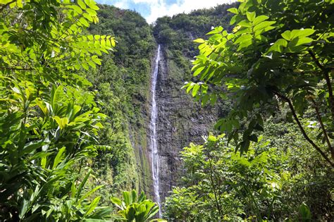 Pipiwai Trail Maui: Bamboo Forest Hike to a 400 Foot Waterfall!