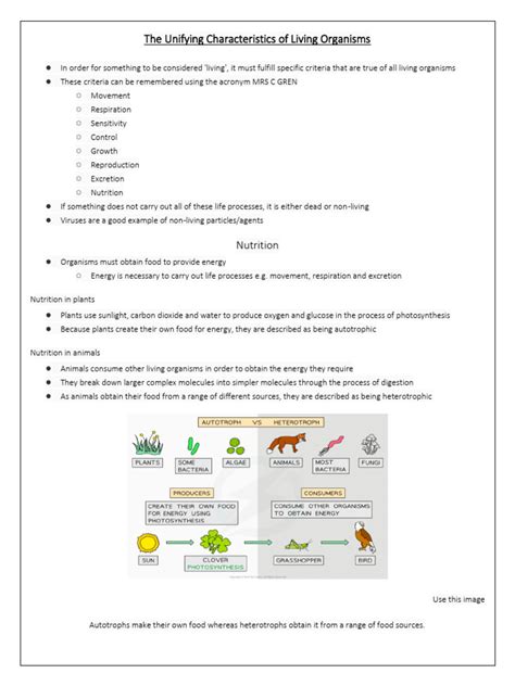 Biology Notes | PDF