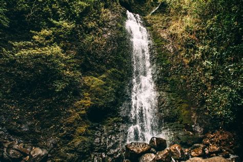 Lulumahu Falls // A Fun Waterfall Hike Through Oahu's Jungle