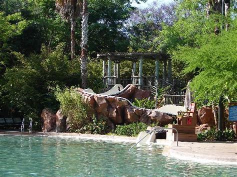 Water slide - Picture of Disney's Animal Kingdom Lodge, Orlando - TripAdvisor