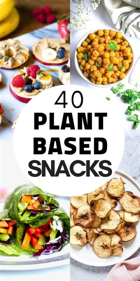 40 Plant Based Snack Recipes