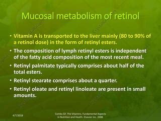 Vitamin A metabolism | PPT