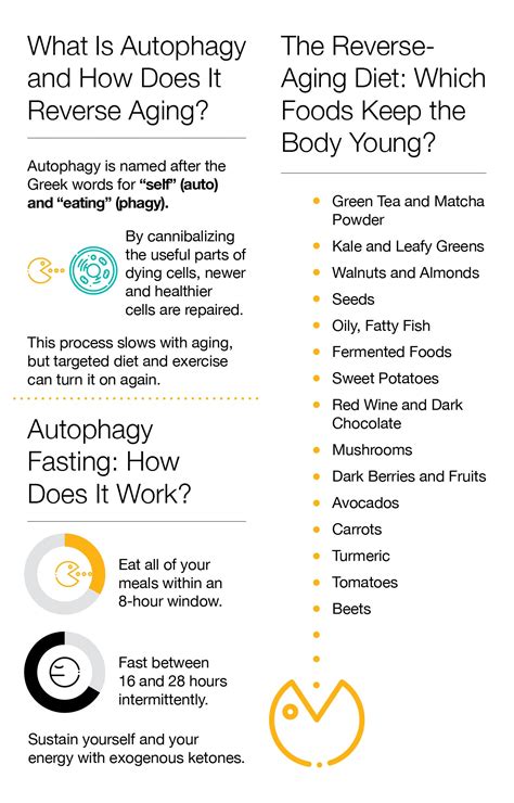 Reverse-Aging Diet: Is Autophagy the Key to Staying Young? – The Amino ...