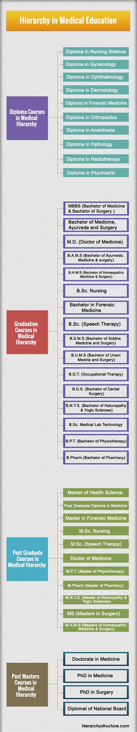 Medical Education Hierarchy Chart