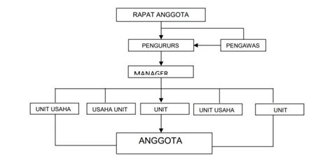 Struktur Organisasi Koperasi Sekolah, Simpan Pinjam, UKM dan Tugasnya