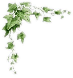 ivy border leave lierre feuilles bordure, ivy , leaves - png gratuito ...