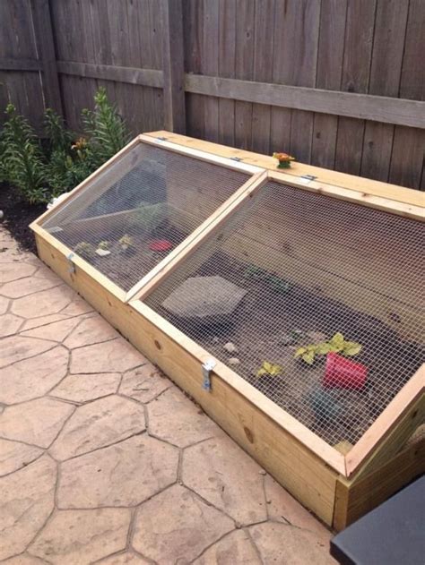 Caged outdoor set up big. #gardenpond #big #garden #pond | Tortoise ...