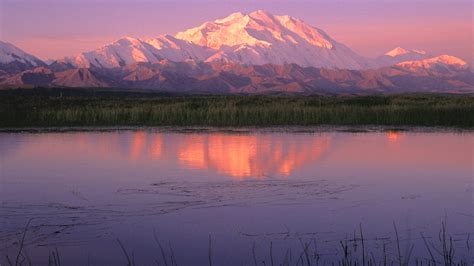 Alaska Hiking – Kenai to Denali | REI Co-op