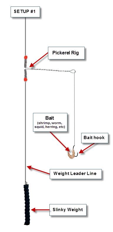 [DIAGRAM] Kite Fishing Rig Diagram - MYDIAGRAM.ONLINE