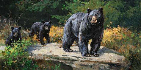 Archive — Luke Frazier | Wildlife & Sporting Art Bear Paintings ...