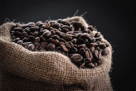 The Best Organic Coffee in 2019 - Our Editor's Guide Organic Coffee