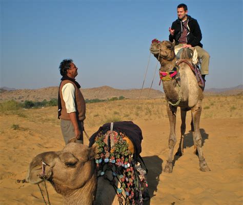 Rajasthan, Camel,Desert Safari, Camel,Desert Safari in Rajasthan