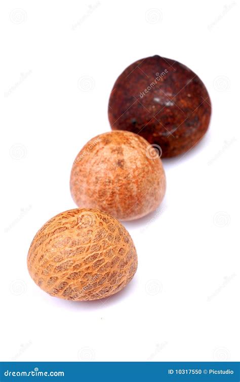 Areca nut stock photo. Image of isolated, blur, macro - 10317550