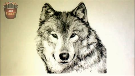 Discover more than 78 animal realistic drawing super hot - xkldase.edu.vn